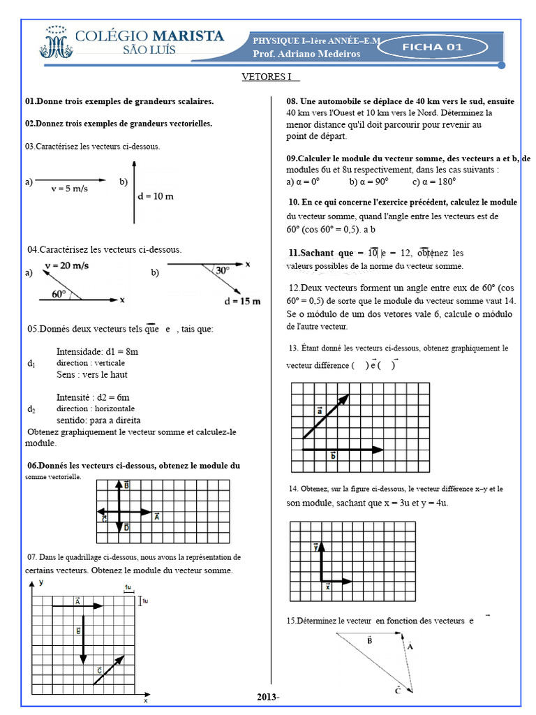Exemples et calculs de vecteurs en physique | PDF | Algèbre | Algèbre ...