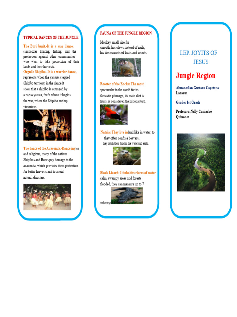 Triptych Region Jungle | PDF | Cuisine | Foods