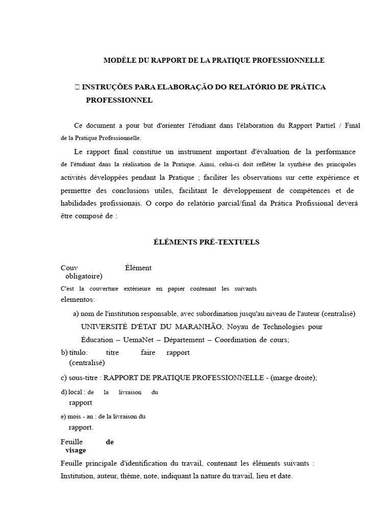 Rapport de Pratique Professionnelle | PDF | Html | Internet