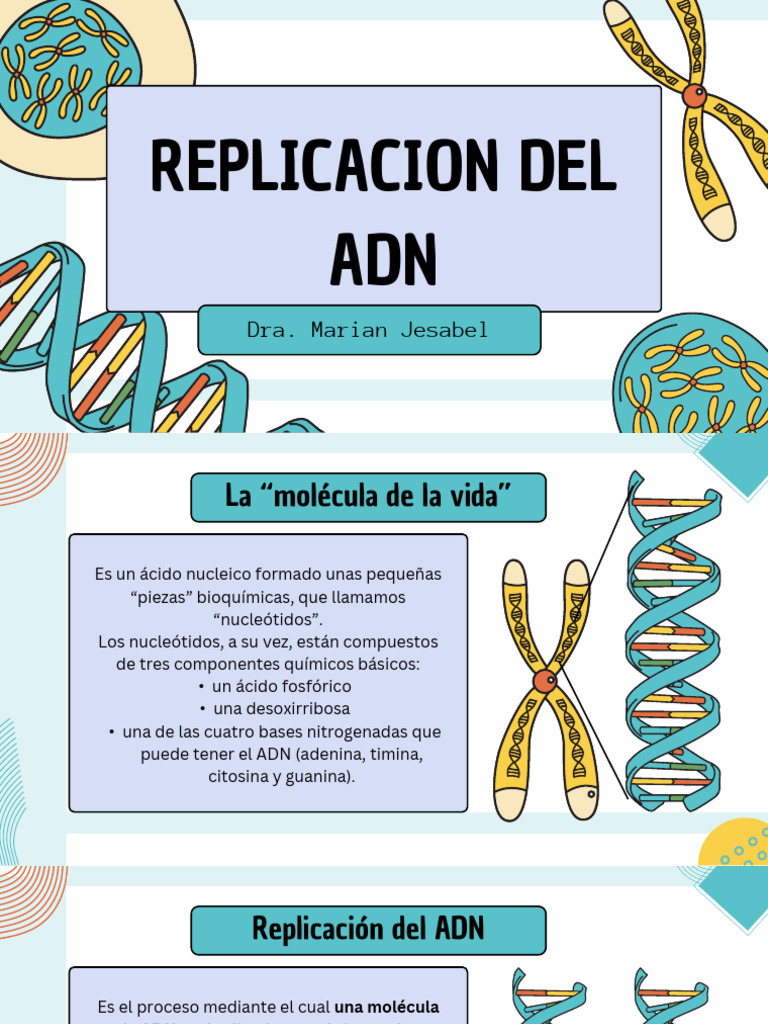 Clase Replicacion Del ADN MJ | PDF | Replicación De Adn | Adn