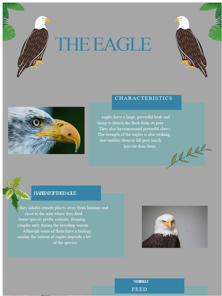 The Eagle | PDF