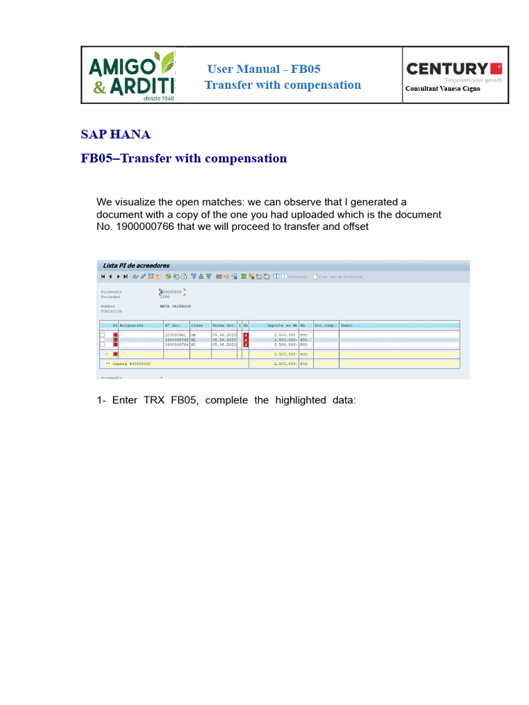 User Manual - FB05 Transfer With Compensation | PDF