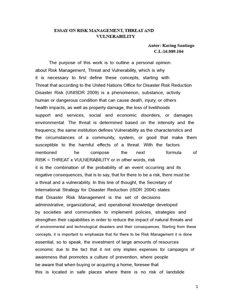 Essay On Risk Management | PDF | Risk | Risk Management