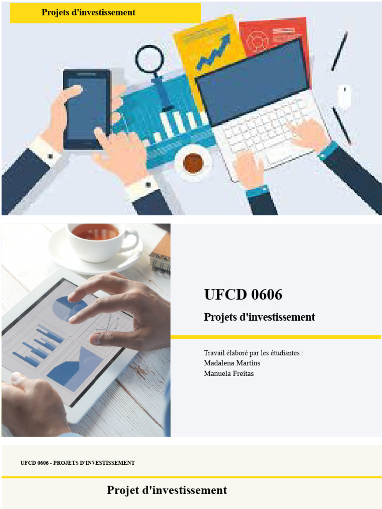 Guide des Projets d'Investissement | PDF | Gestion de projet ...