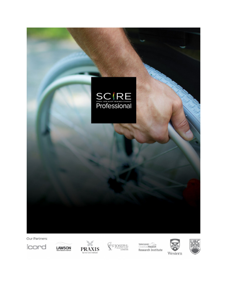 Scire Pa Vol. 3 Final Plain Text 0608 27jun 1 | PDF | Spinal Cord ...