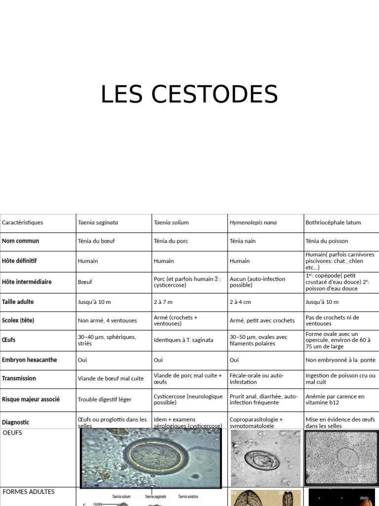 Caractéristiques des Cestodes et Risques | PDF | Maladies et troubles ...