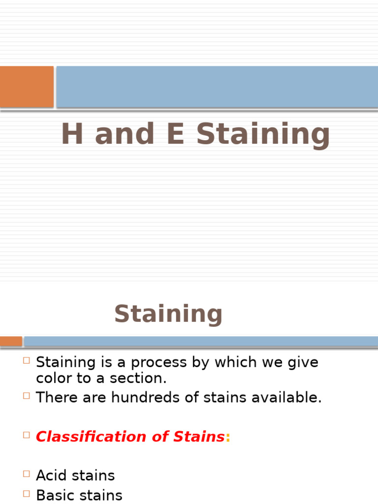 H and E Staining Process Explained | PDF | Staining | Dye
