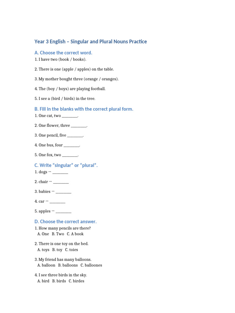 Year 3 Singular and Plural Nouns Practice | PDF