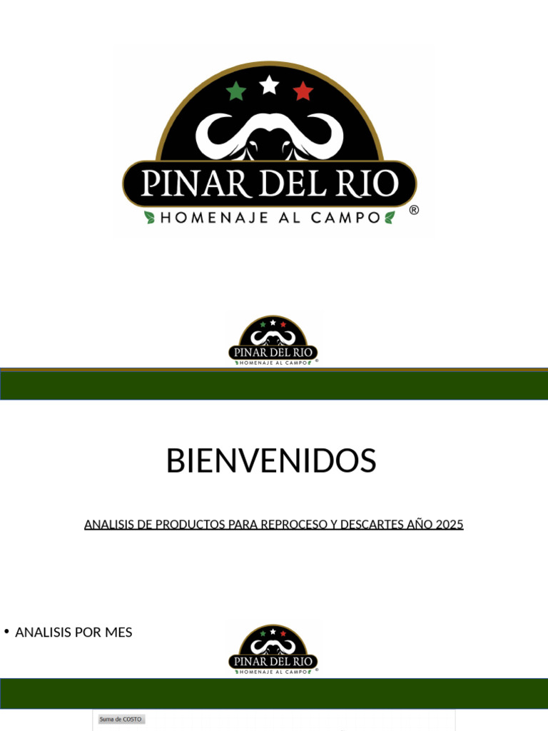 ANALISIS DE PRODUCTOS A REPROCESO Y DESCARTE AÑO 2025 | PDF