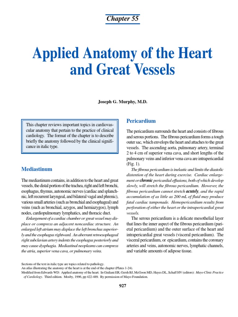 Mayo Applied Cardiac Anatomy | PDF | Atrium (Heart) | Heart Valve