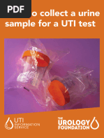 UTI Patient Questionnaire Form | PDF | Urinary Tract Infection | Immunology