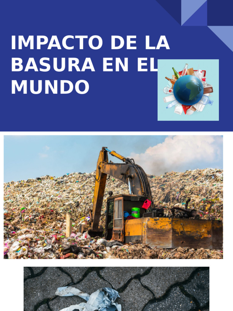 Impacto de La Basura en El Mundo | PDF
