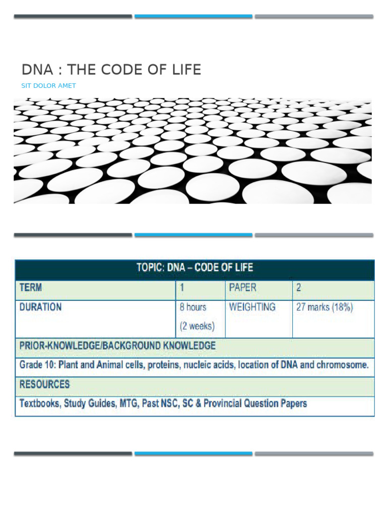 Understanding DNA: Structure and Function | PDF | Dna | Rna