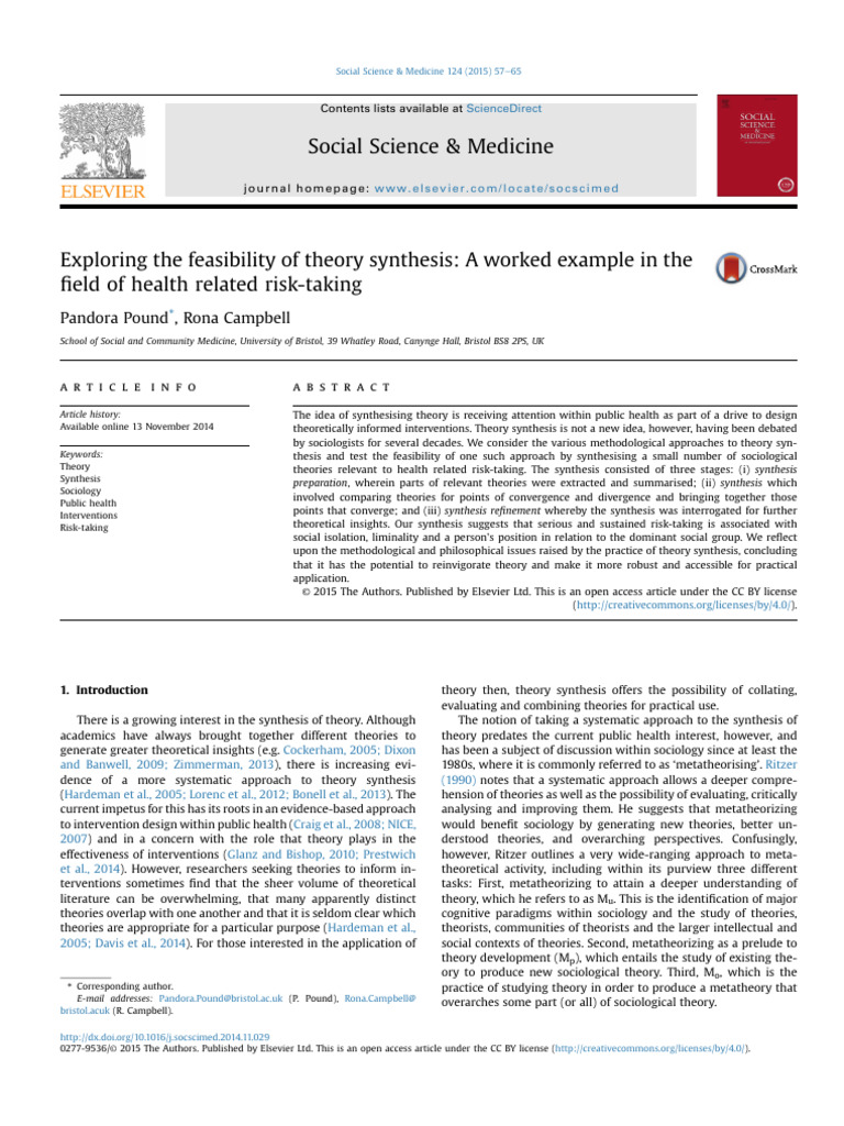 Exploring The Feasibility of Theory Synthesis A Worked Example in The ...
