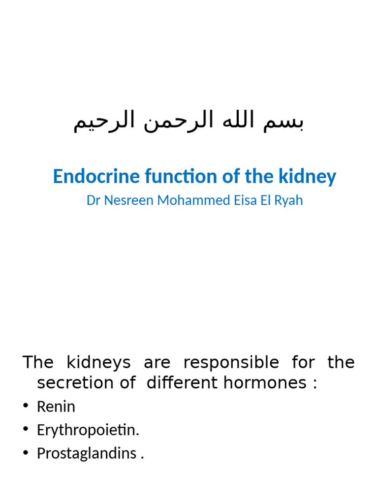 Kidney Hormones and Their Functions | PDF | Angiotensin | Kidney