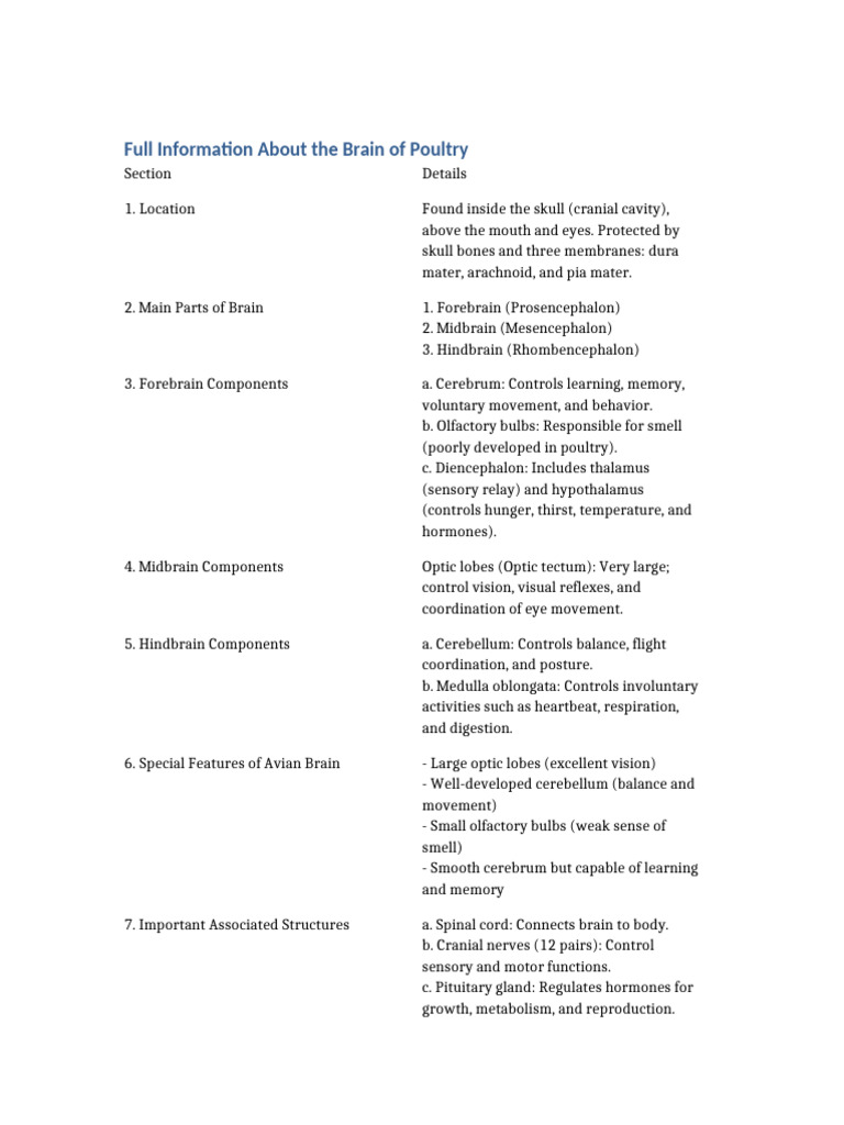 Understanding Poultry Brain Anatomy | PDF | Brain | Cerebrum