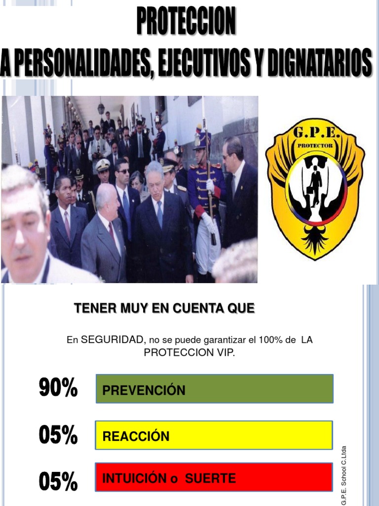 Proteccion Vip, Proteccion A Dignatarios | PDF | Planificación | Business