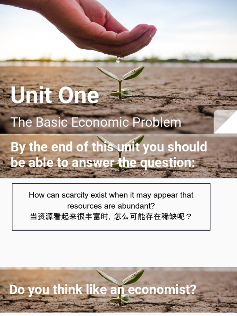 Understanding Scarcity and Choice in Economics | PDF | Economic System ...