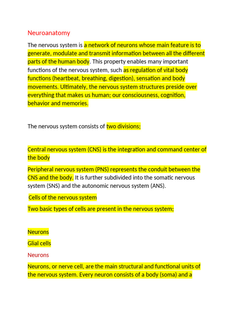 Overview of Neuroanatomy and Functions | PDF | Central Nervous System ...