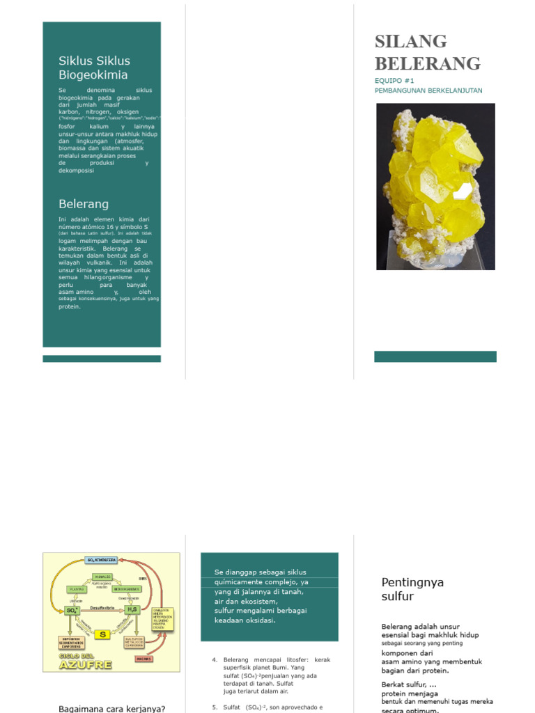 Pentingnya Belerang dalam Siklus Biogeokimia | PDF