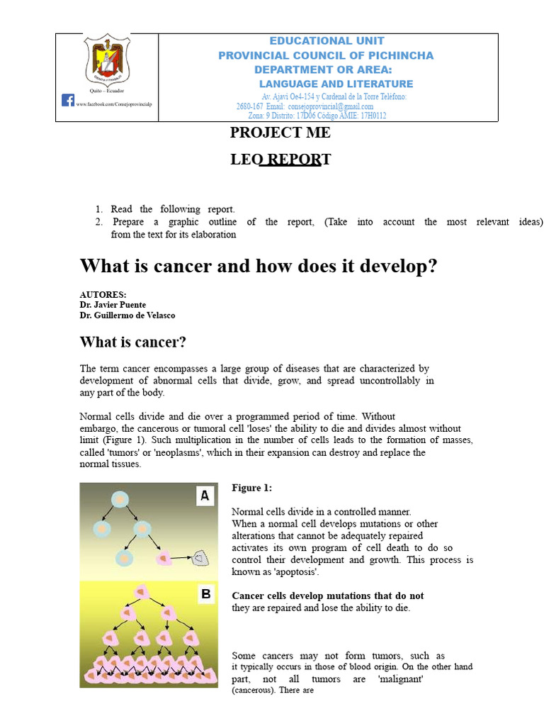 Report On Cancer | PDF | Cancer | Neoplasms