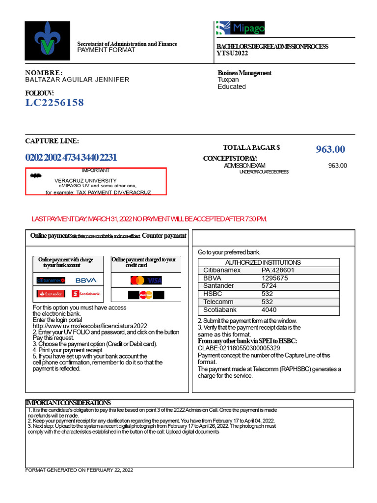 Payment Format | PDF | Payments | Money