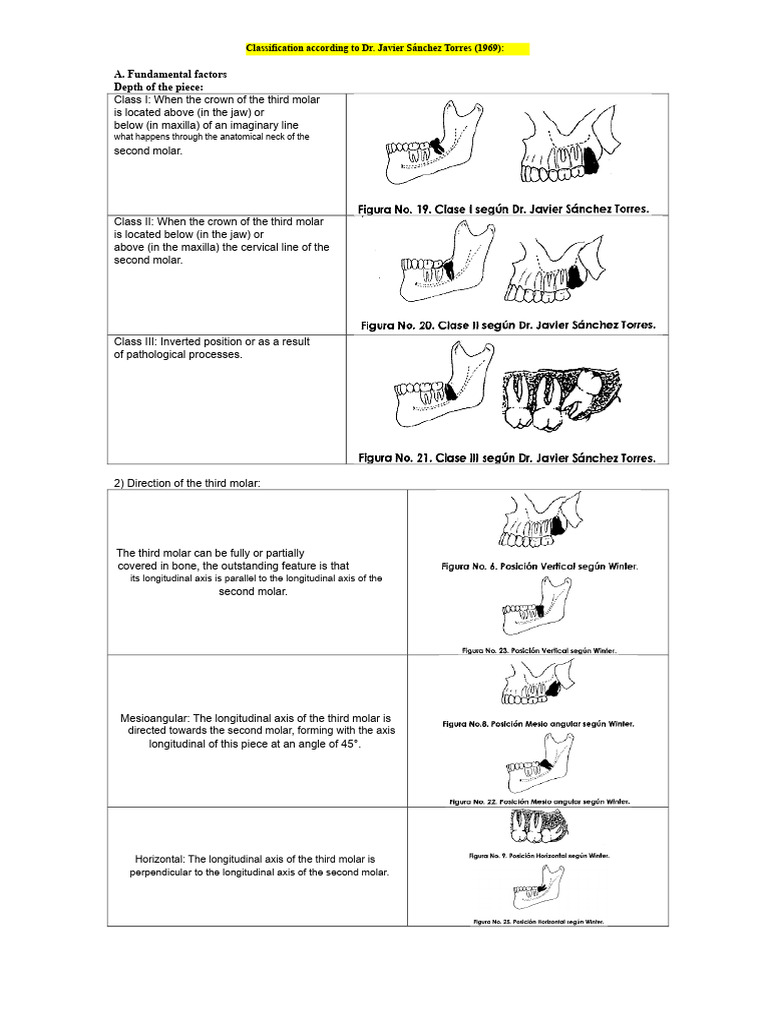 Classification of Sanchez Torres | PDF