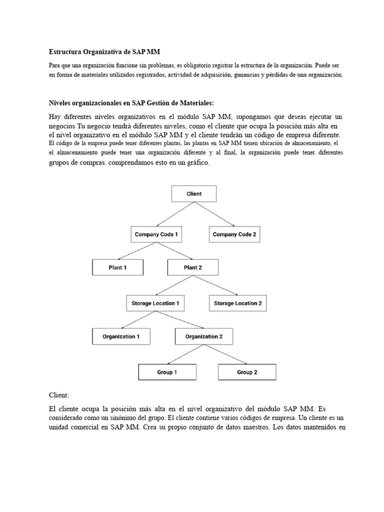 estructura-organizativa-en-sap-mm-pdf-contabilidad-log-stica