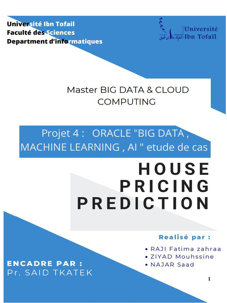 Big Data Mini-Project Overview | PDF | Machine Learning | Support ...