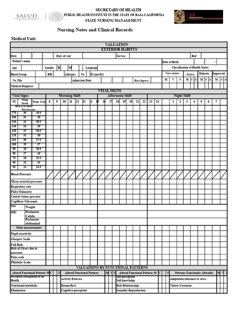 Nursing Sheet | PDF | Blood Pressure | Diseases And Disorders