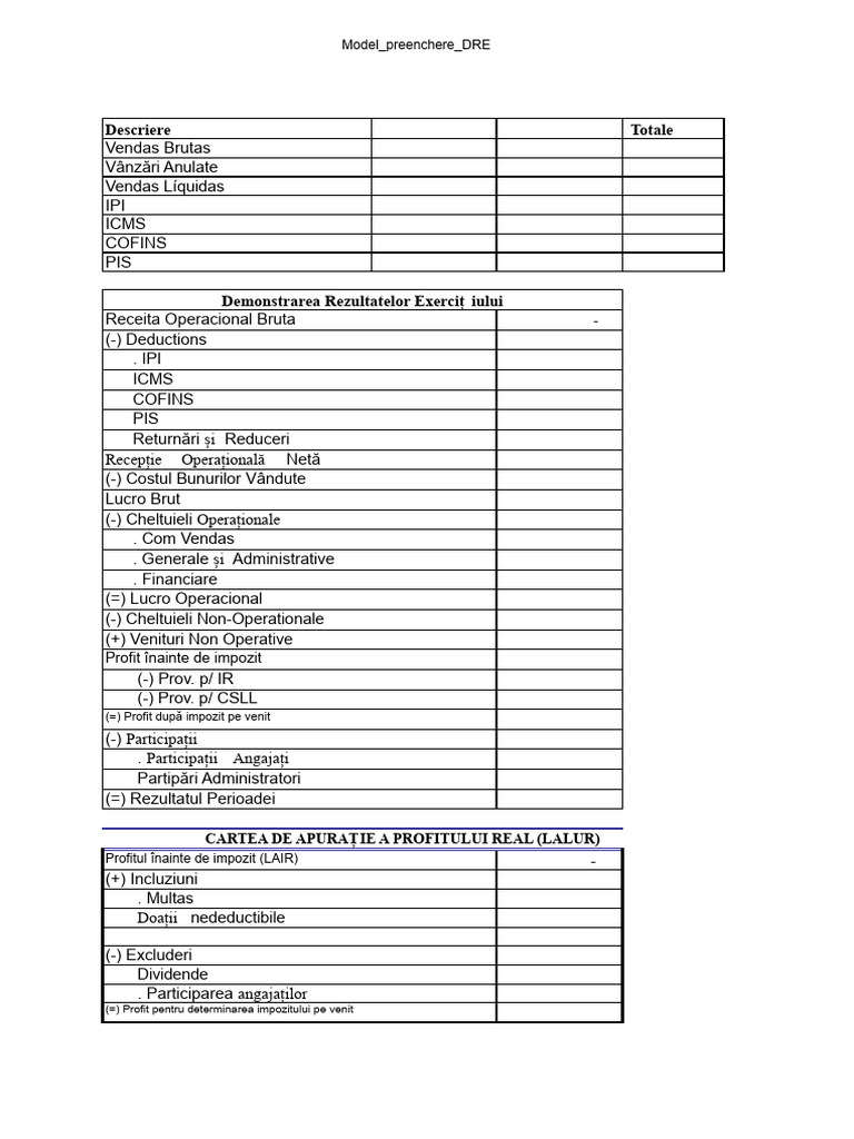 Model de Completare DRE | PDF