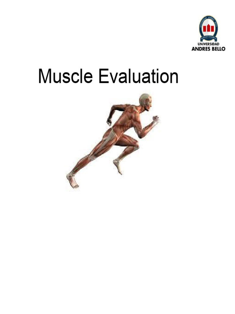 Muscle Evaluation Techniques and Assessments | PDF | Anatomical Terms ...