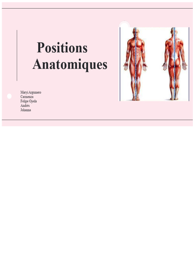 Positions Anatomiques du Patient | PDF | Genou