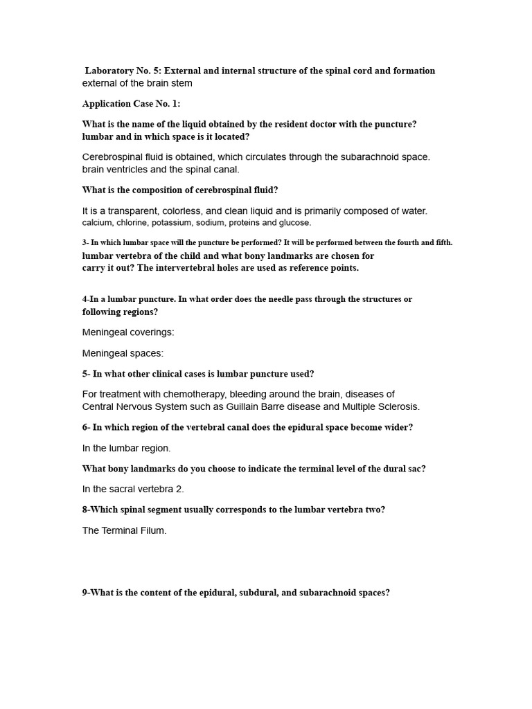 Spinal Cord and Brain Structure Overview | PDF | Motor Neuron ...