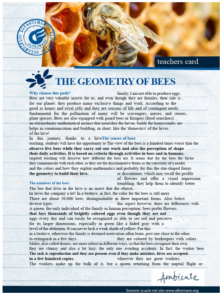 The Geometry and Behavior of Bees | PDF | Bees | Beehive