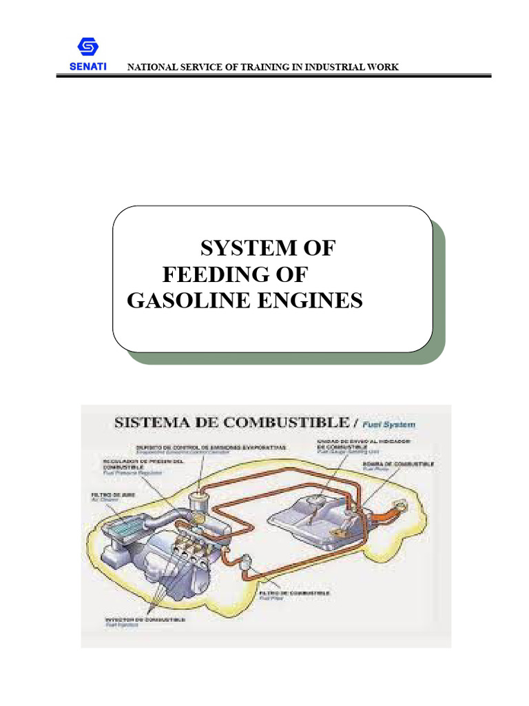 Gasoline Engine Fuel System Guide | PDF | Diesel Engine | Fuel Injection