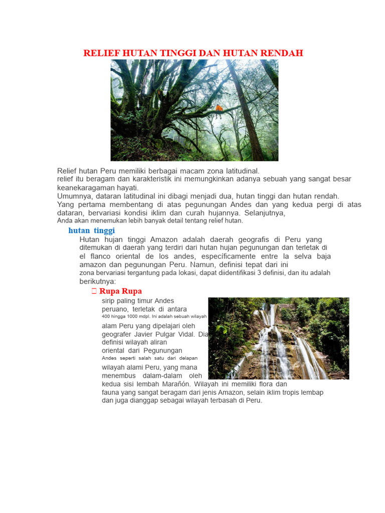 Relief Hutan Tinggi dan Rendah Peru | PDF