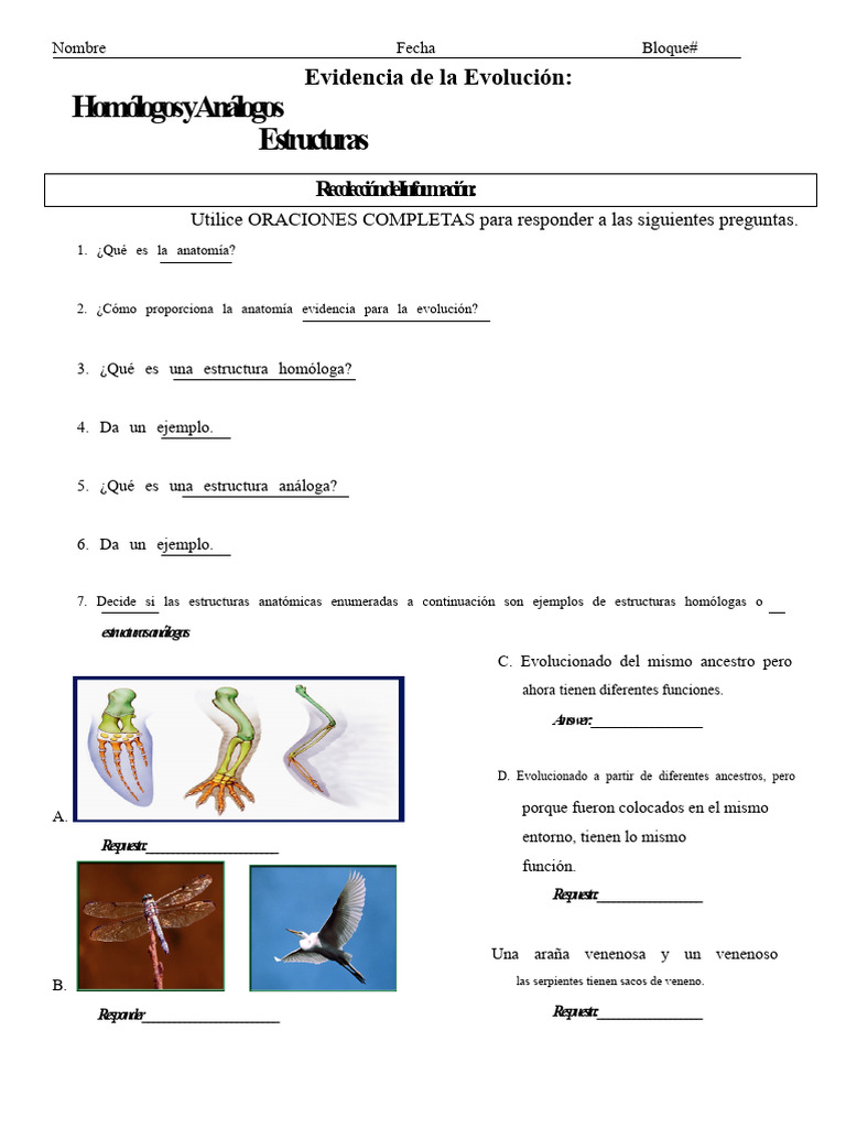 Anatomía y Evolución: Homólogos vs Análogos | PDF | Evolución ...