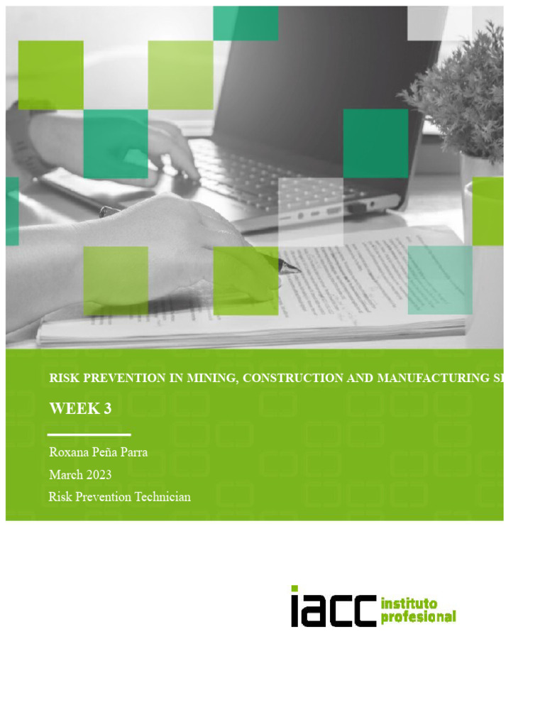 Task Week 3 Risk Prevention in The Mining Sector | PDF | Personal ...