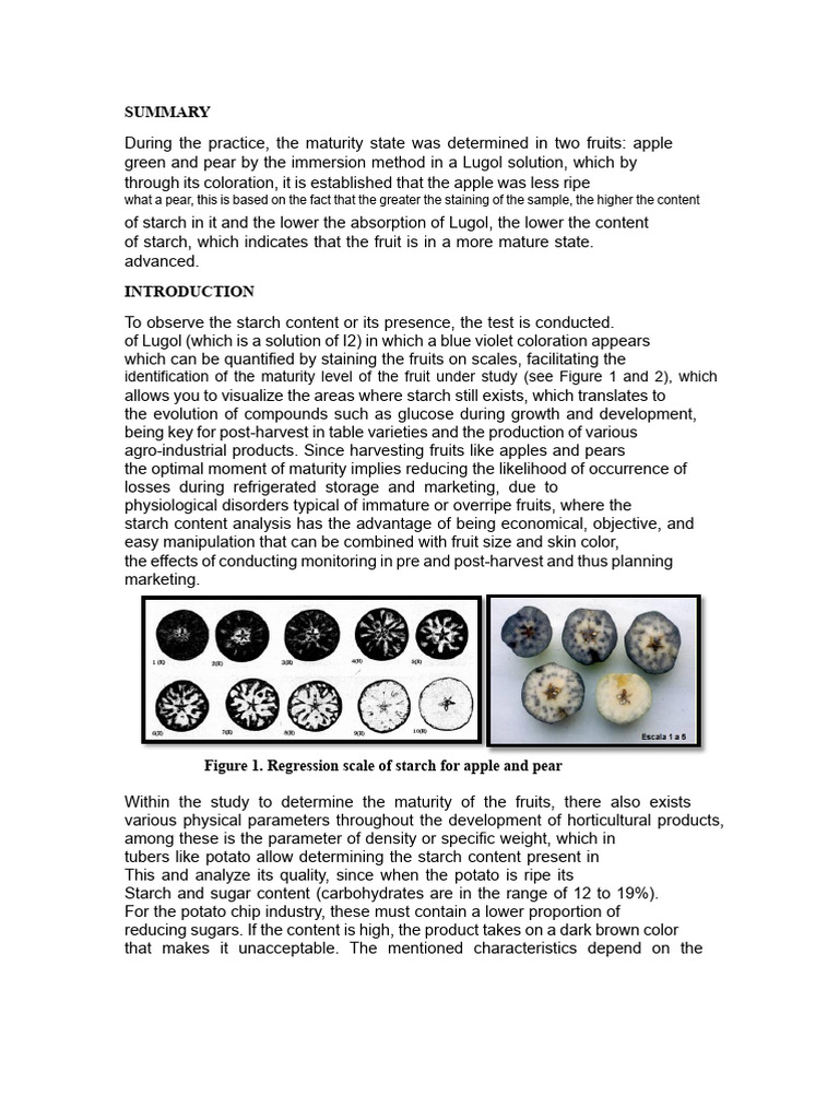 Starch Analysis in Apple and Pear Maturity | PDF | Starch | Sugar