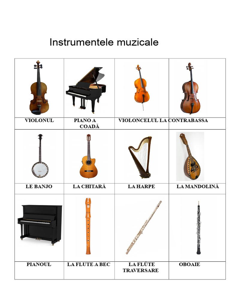 Carte Imaginar Instrumentele Musicale | PDF