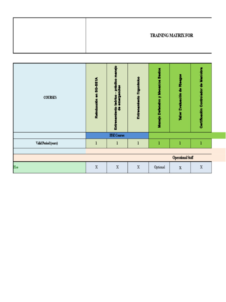 HSE Training Matrix Overview | PDF