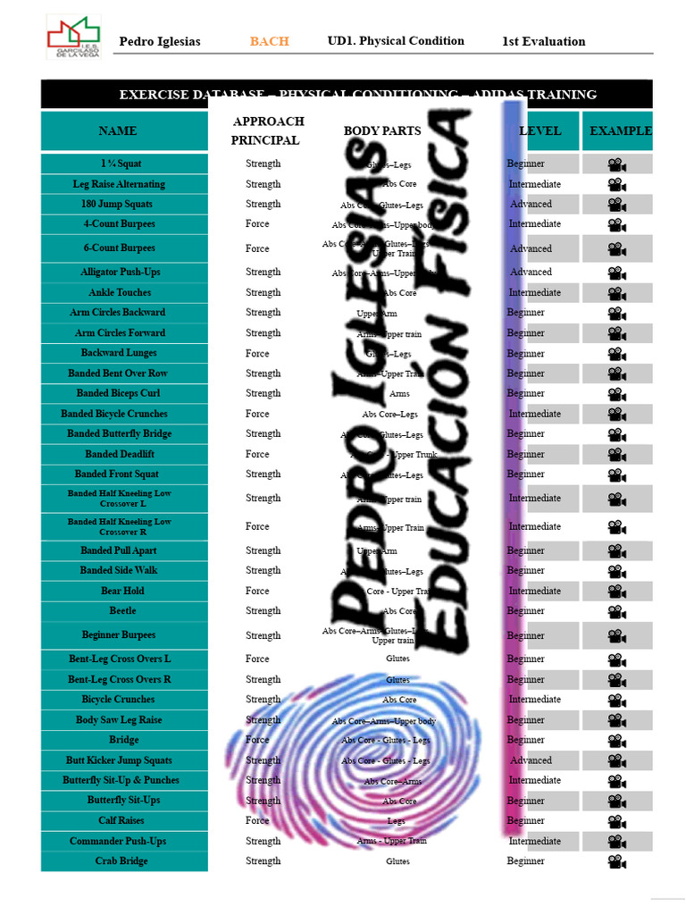 Adidas Training: Exercise Database | PDF | Musculoskeletal System ...