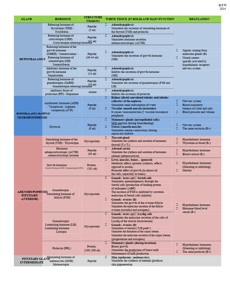 Hormones and Their Functions in Endocrine System | PDF | Luteinizing ...