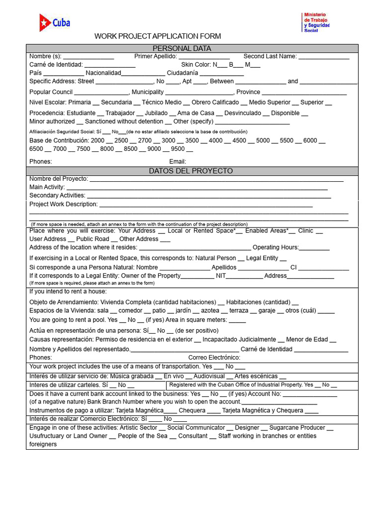 Work Project Application Form | PDF