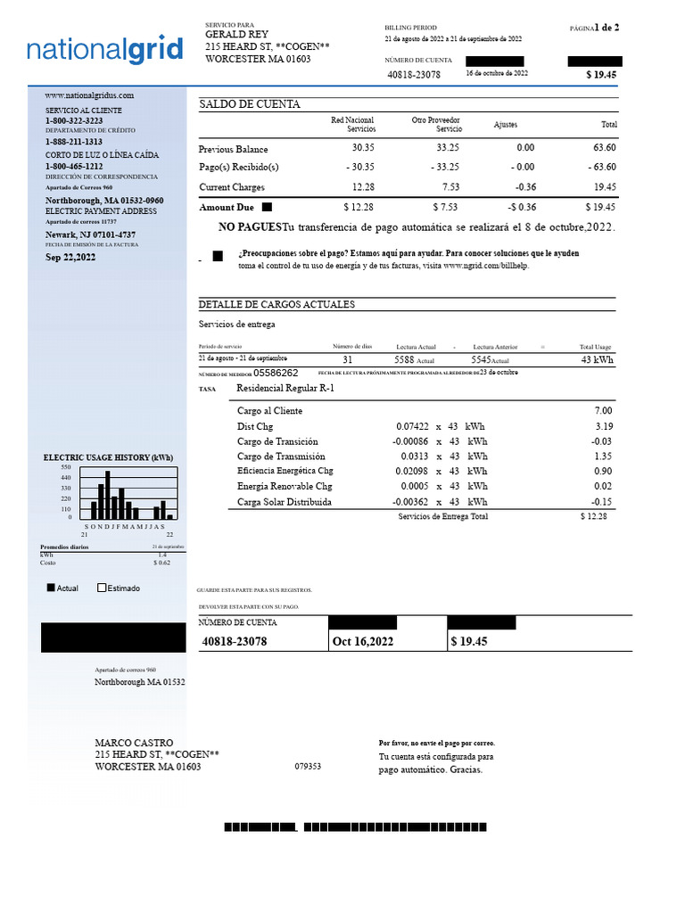 Factura de Electricidad: Resumen y Detalles | PDF