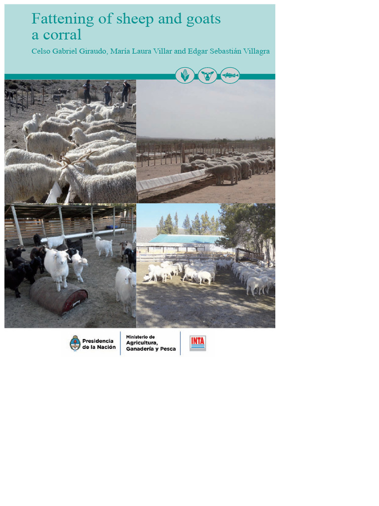 Fattening Sheep and Goats in Pens | PDF | Cereals | Sheep