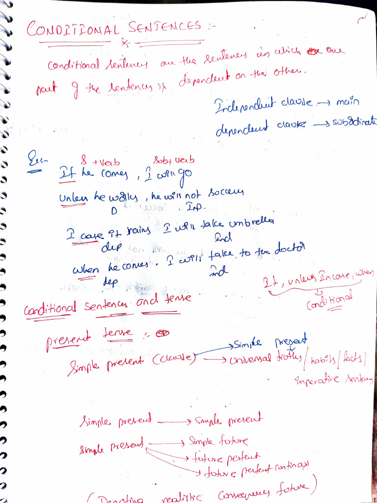 Conditional Sentences Explained | PDF