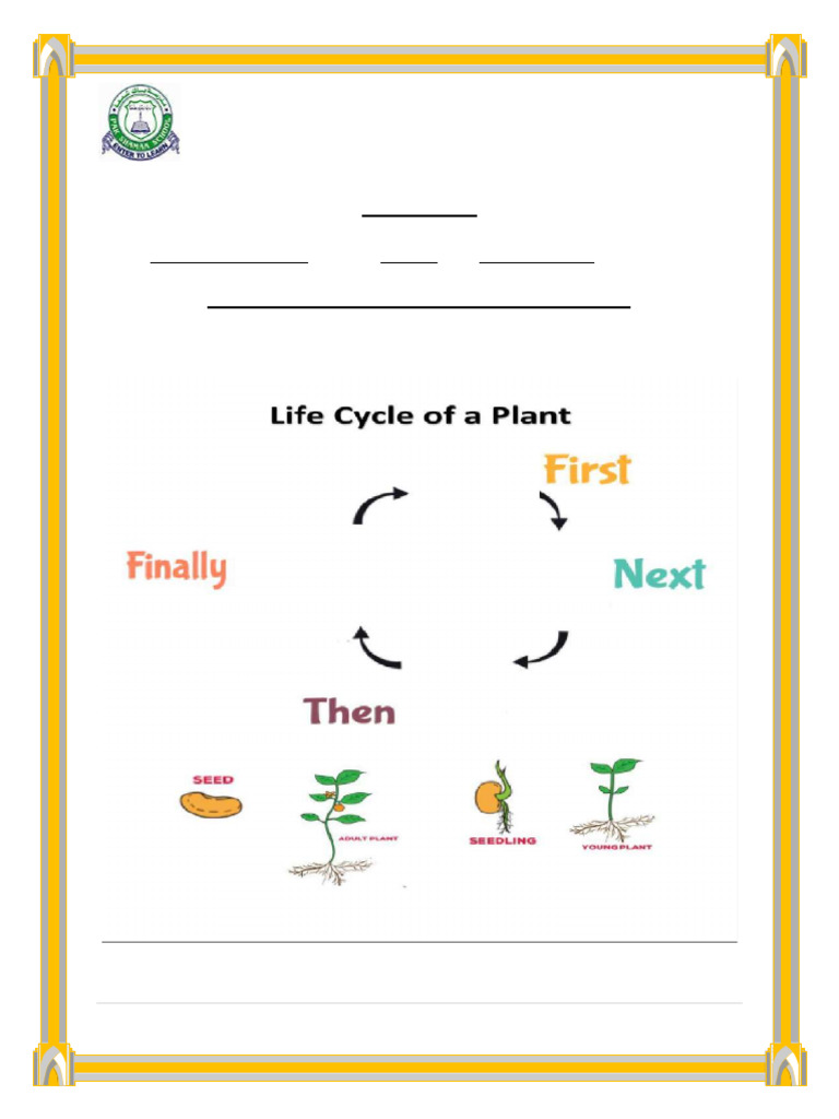 Compiled Worksheets (1st Term Exam) | PDF | Petal | Flowers