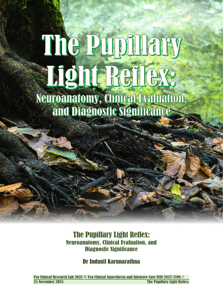 The Pupillary Light Reflex Neuroanatomy, Clinical Evaluation, and ...